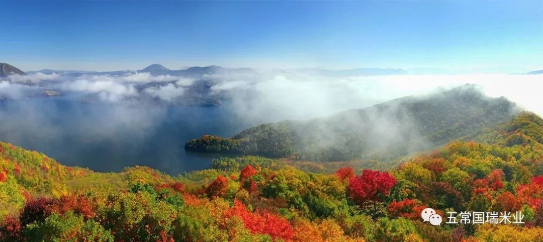 “儒家五常” 小城故事 ，拉林河畔稻花香！